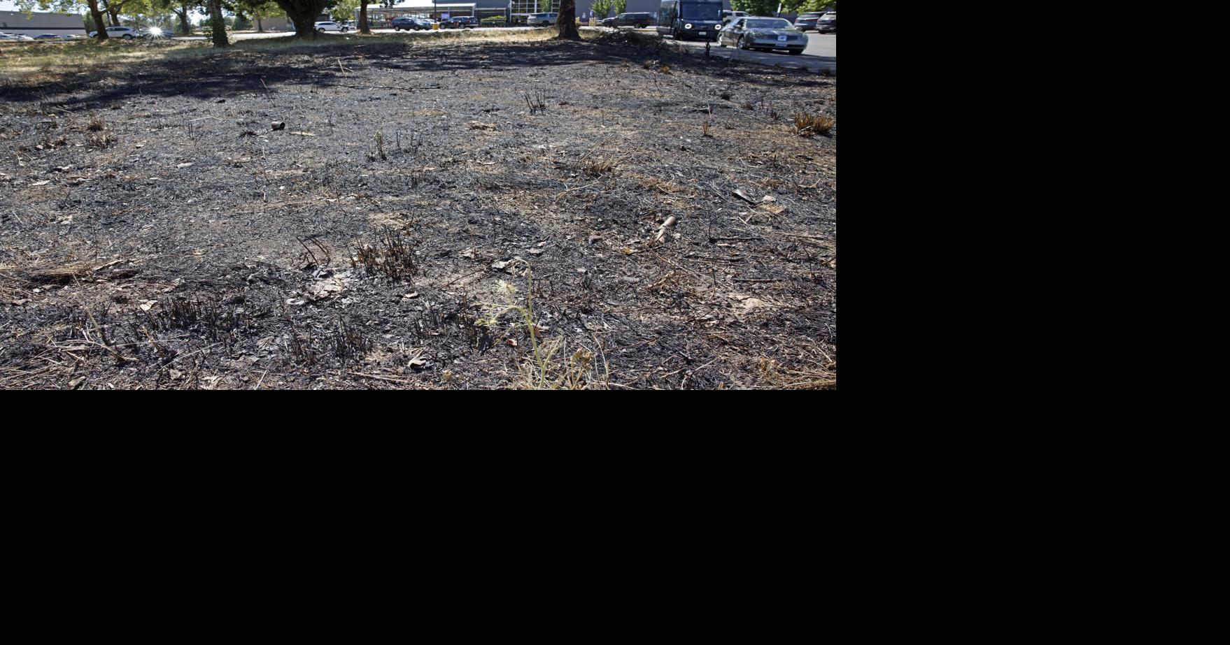 Albany man sentenced for arson near Fred Meyer