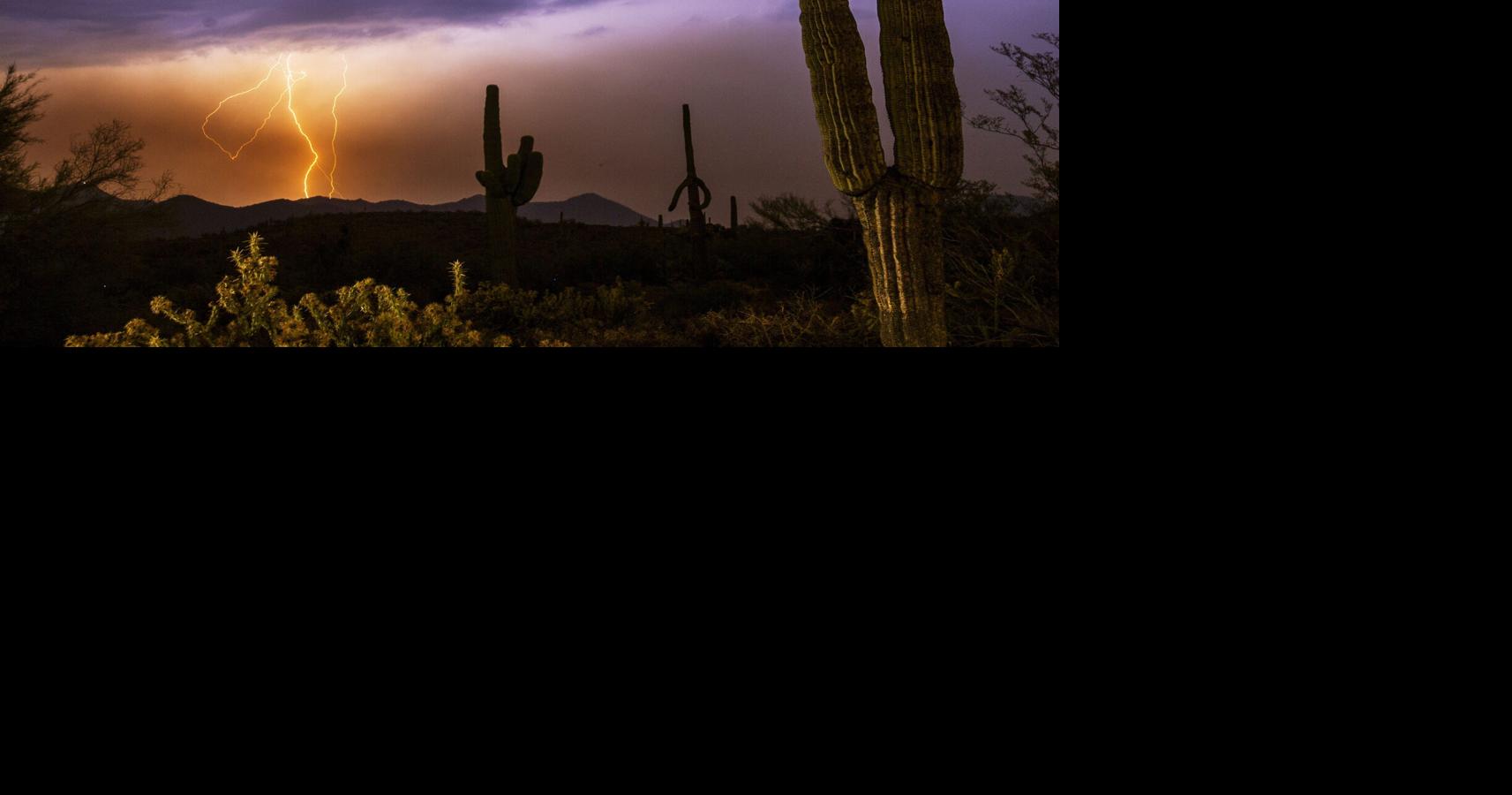 Officers: Man amassed trash in Arizona national forest