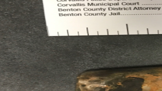 Corvallis Police Warn Of Hazardous Batteries After Tesla Crash Local Gazettetimes Com