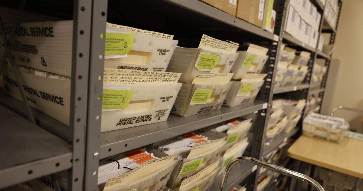 Lee Envelope Ballot envelopes