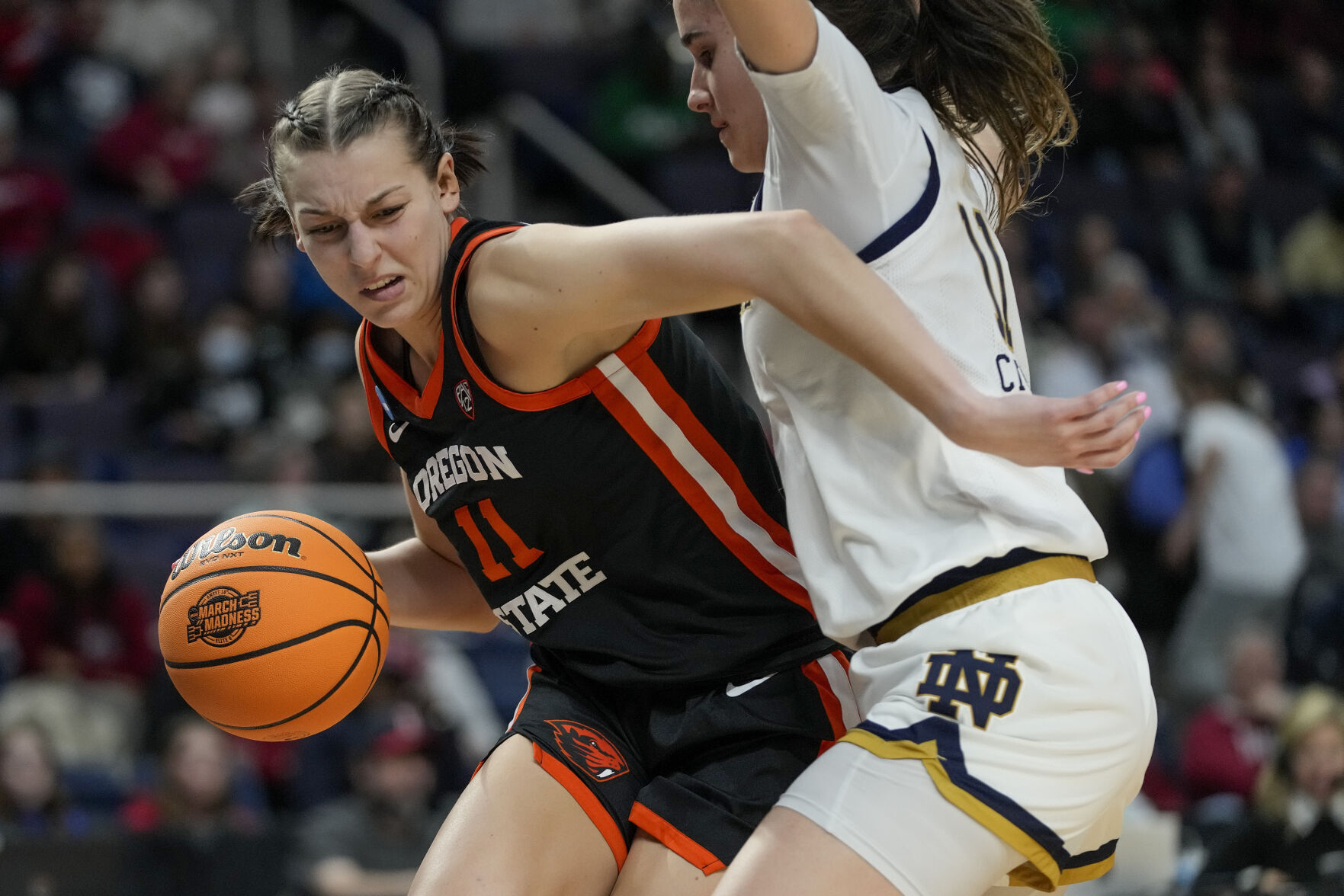 oregon state beavers women's basketball roster