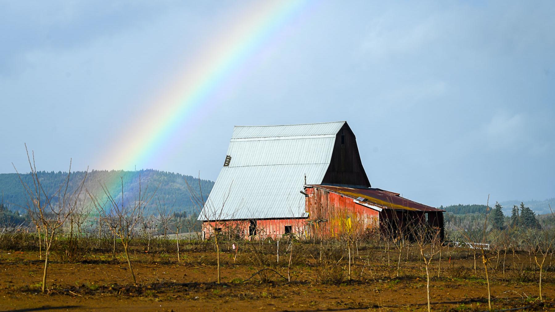 Power Outages Hit Mid Valley Local Gazettetimes Com