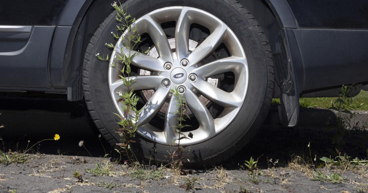 Albany leaders to weigh street fee this week. Does it have the votes?