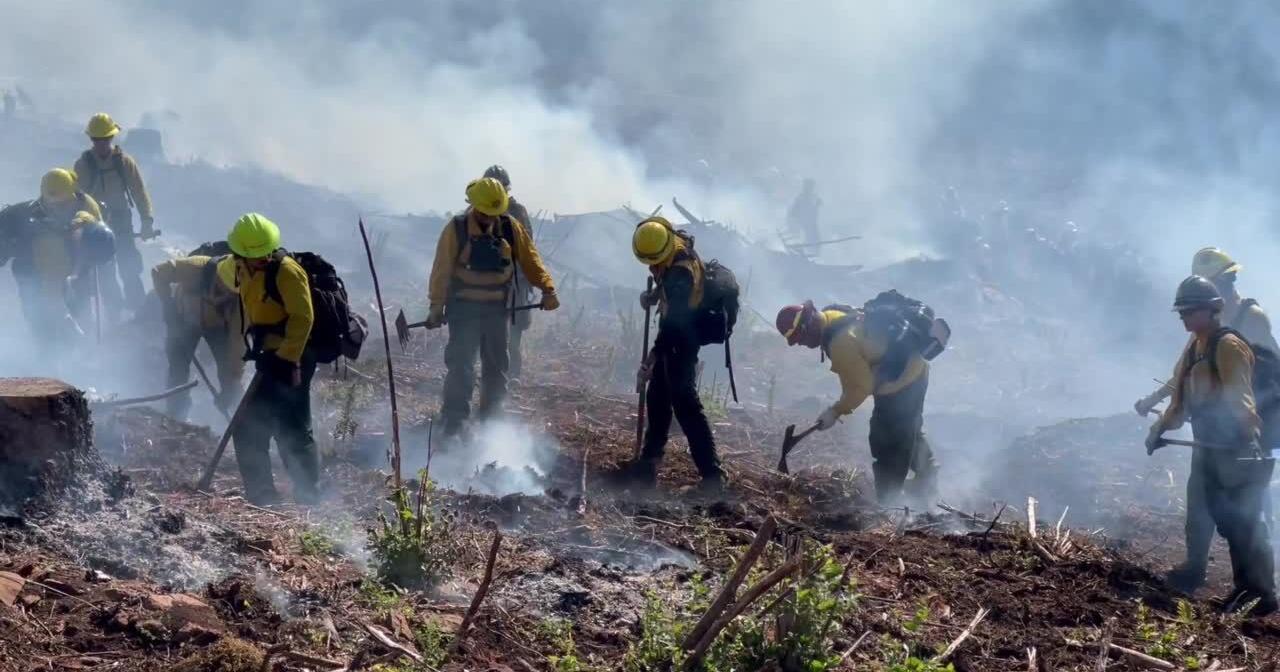 Level 2 evacuations ordered near Sweet Home - Vimarsana News