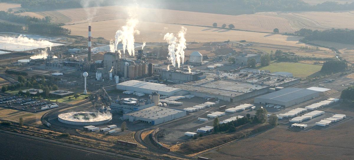 Gallery Halsey Paper Mill at 50