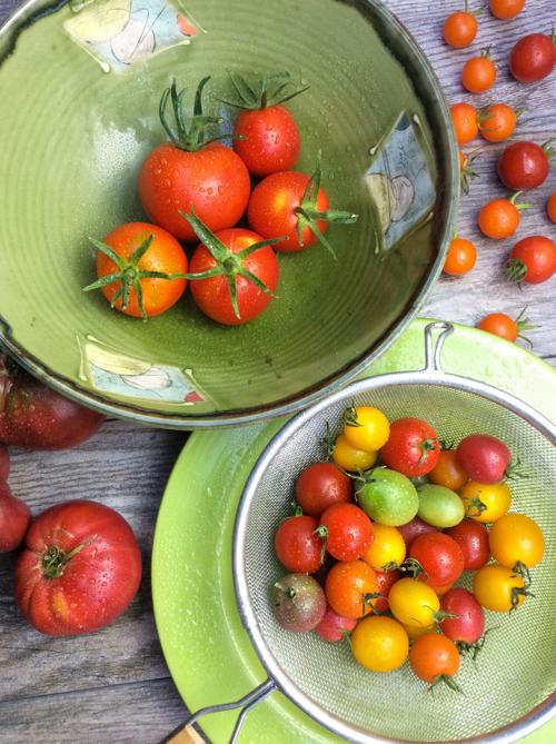 Tiptop in tomato season Food and Cooking