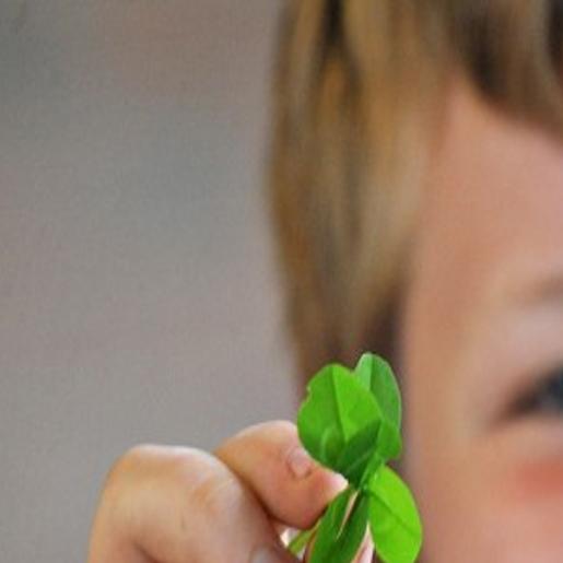 Freakish Luck A South Corvallis Boy Finds A Six Leaf Clover