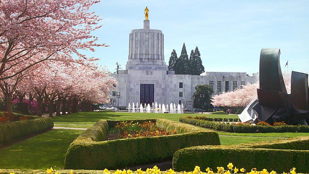 Ginny Burdick will leave Oregon Senate after 25 years - Vimarsana News