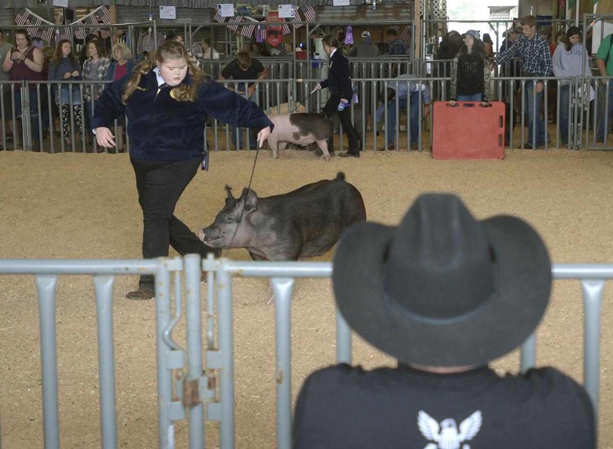 Linn County Fair fully returns in 2021 Local
