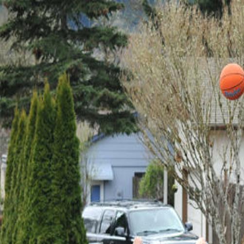 Philomath Cracks Down On Mobile Hoops Local Gazettetimes Com