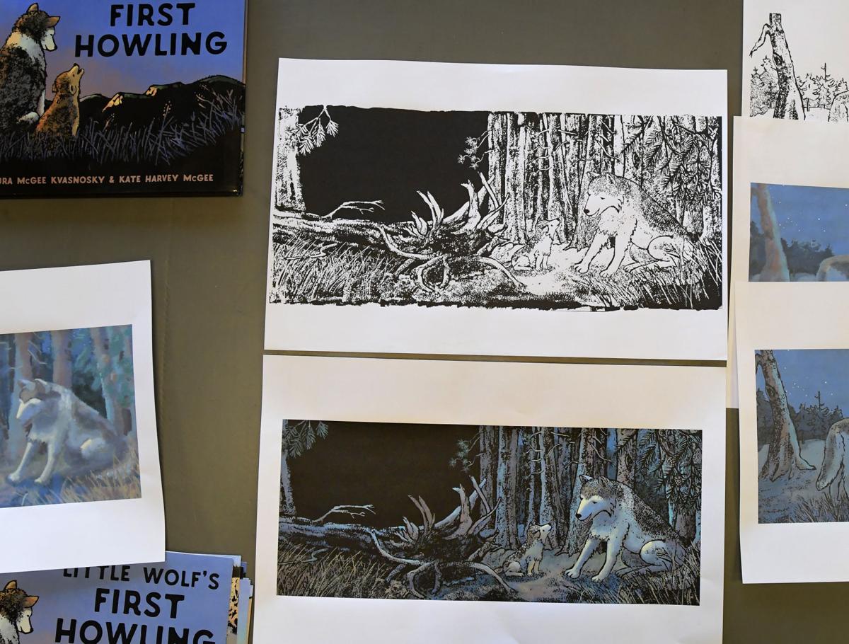 Philomath Artist Collaborates With Author Sister On