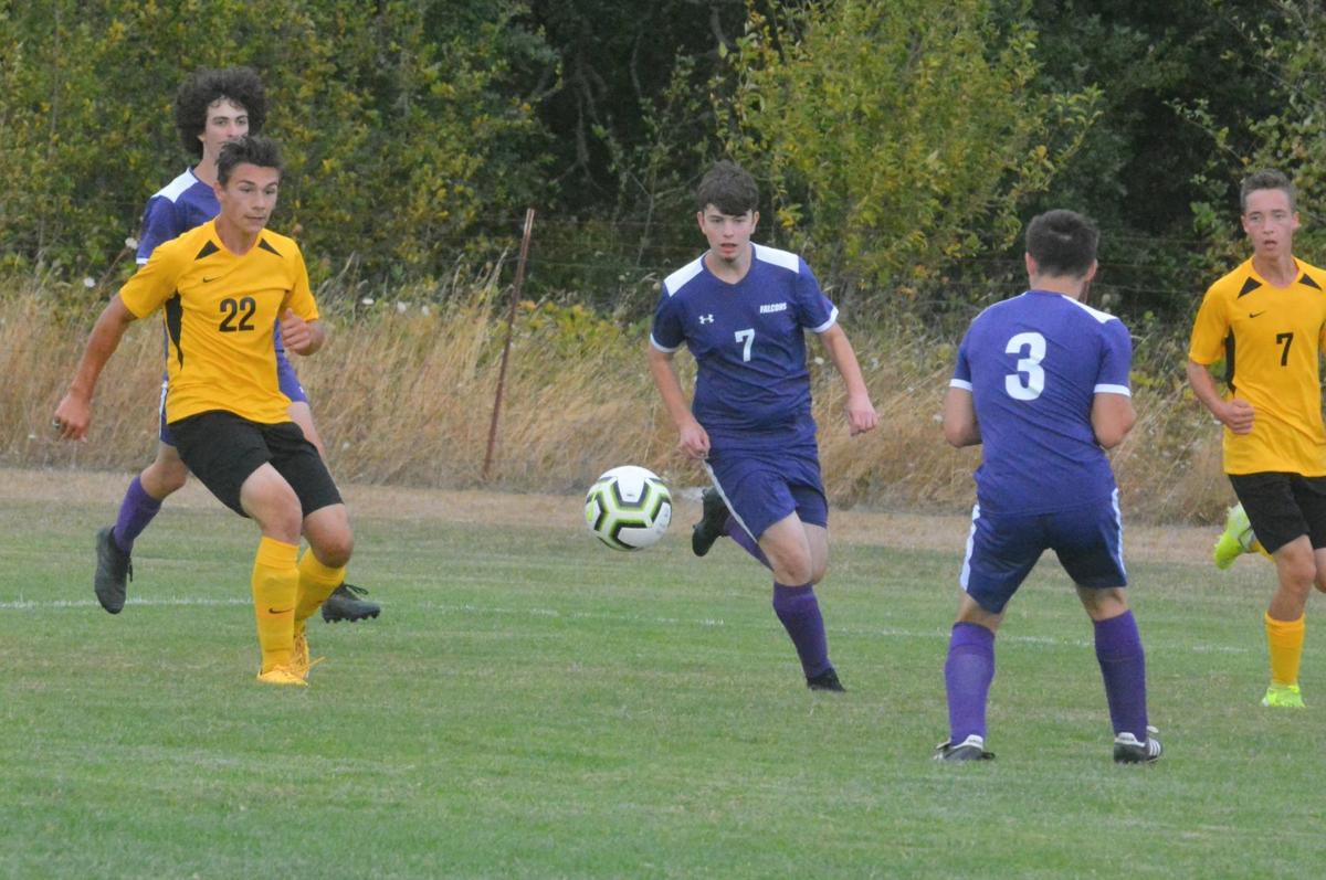 PHS boys soccer: Andrew Mecham