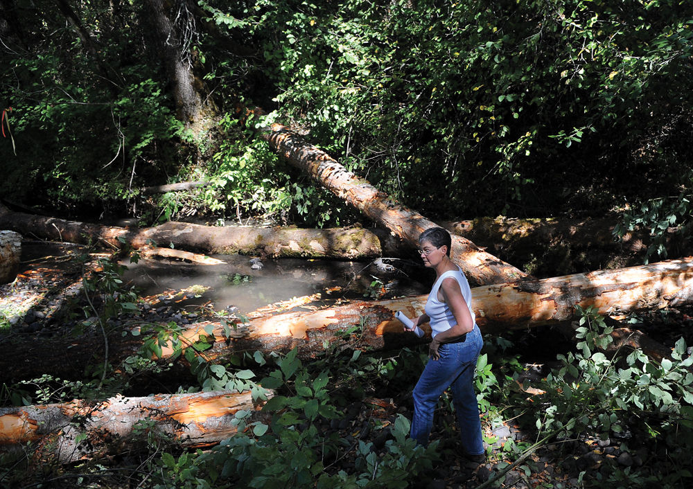 Time and healing the river