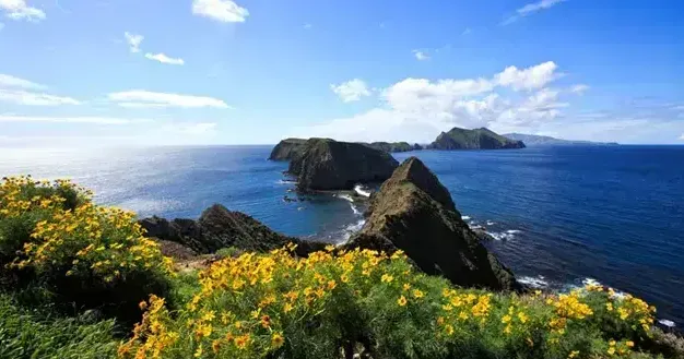 Albany man dies while diving off California coast