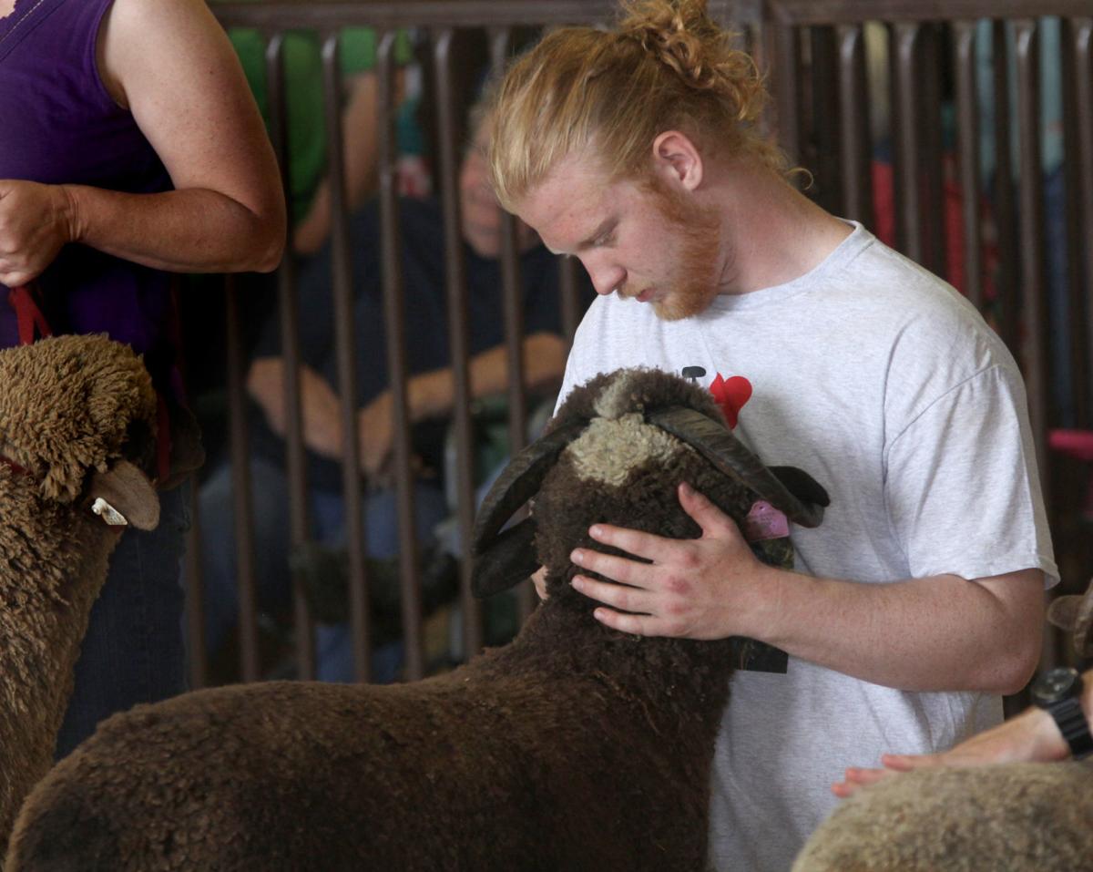 Black Sheep Gathering returns to Albany Local