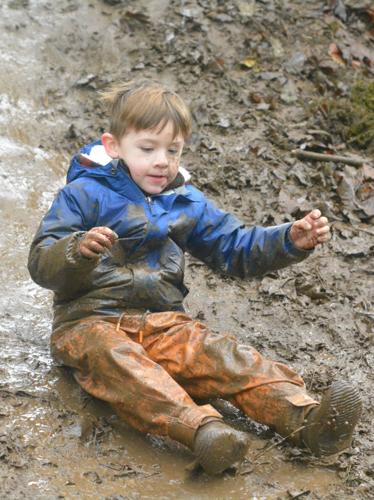 Fern & Feather Forest School