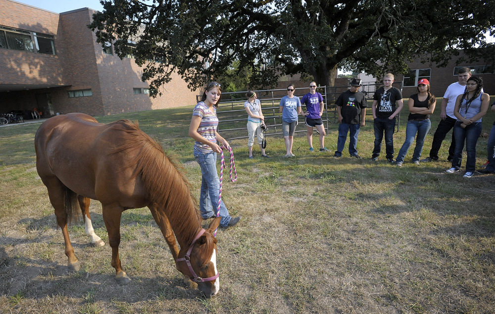 High school students get the veterinary experience Local