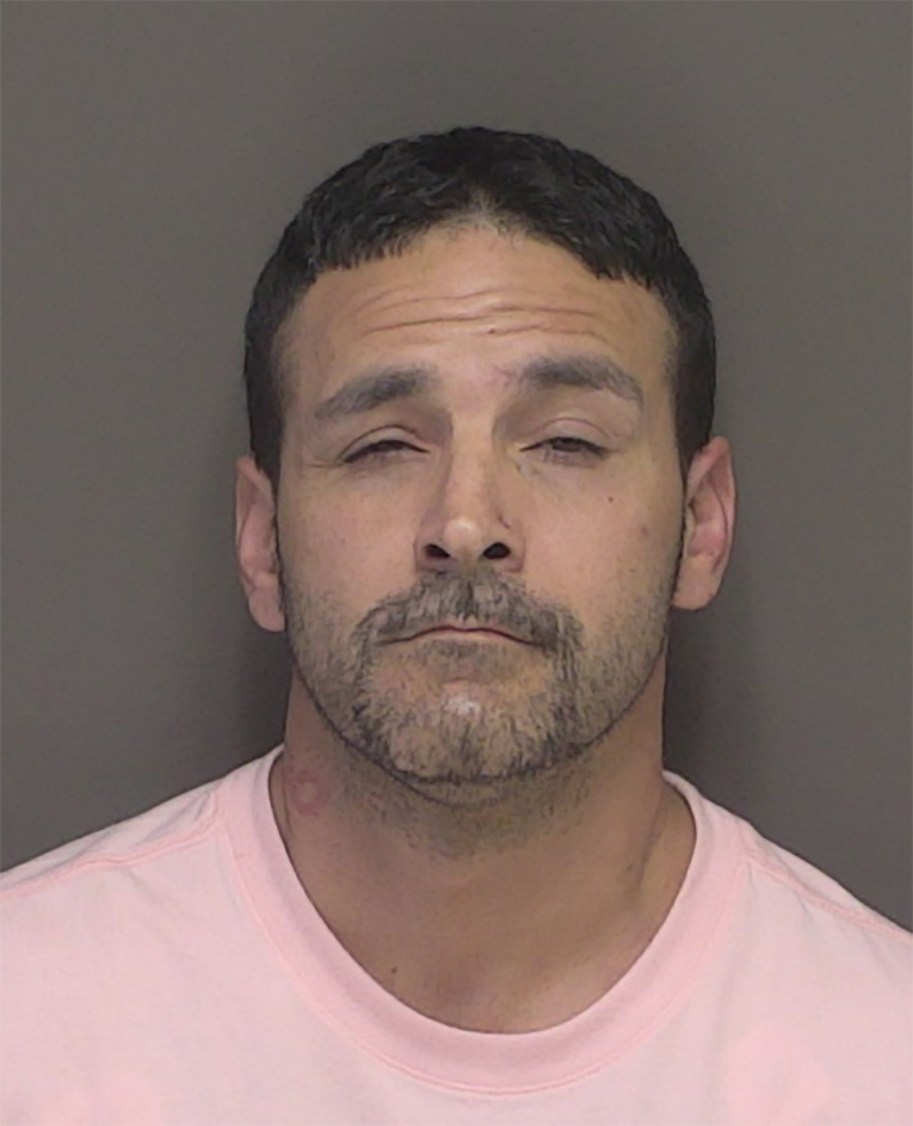 Sweet Home man gets 10 years for meth bust