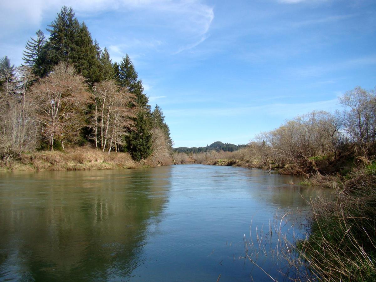 Column Finding my way back to the beauty of Siletz