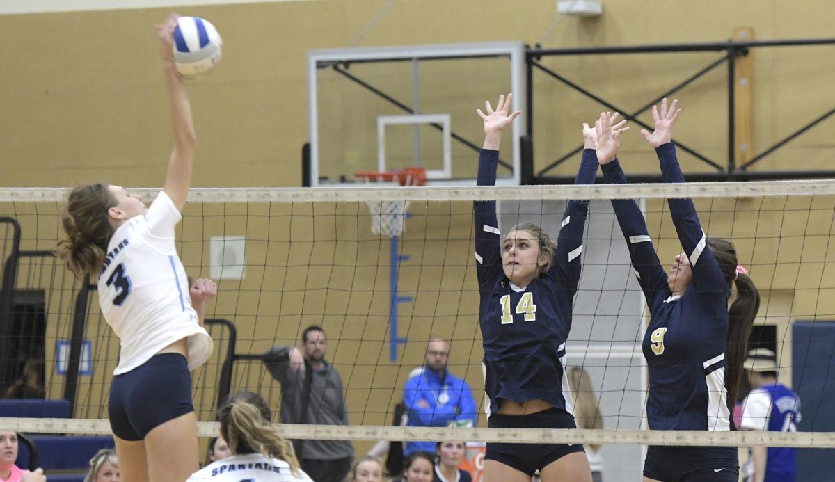 Prep Volleyball Corvallis West Albany Confident Heading Into State Tournament High School Gazettetimes Com