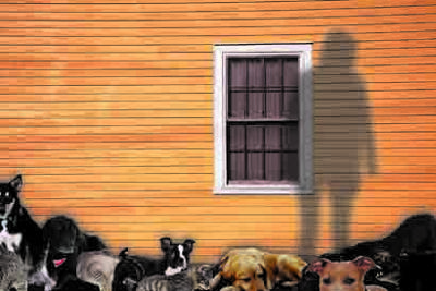 Too many animals Too many animals