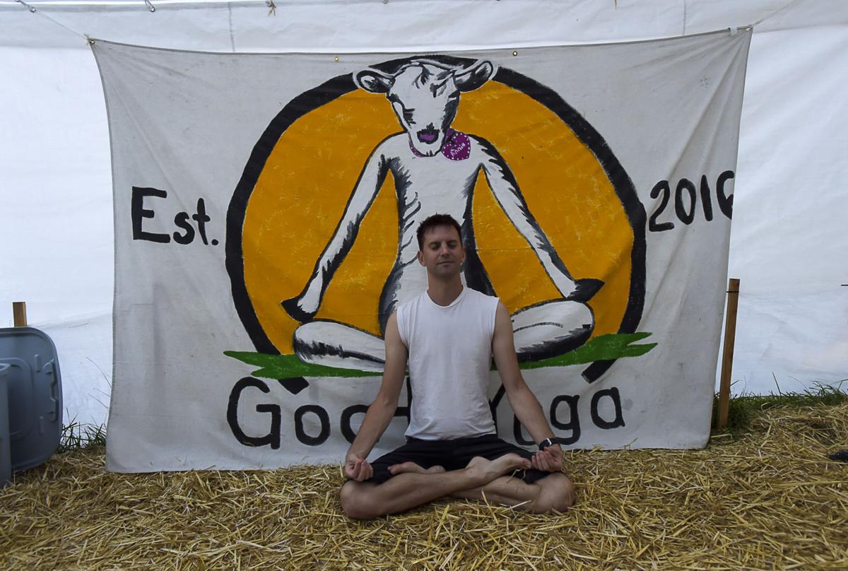 Goat Yoga 05