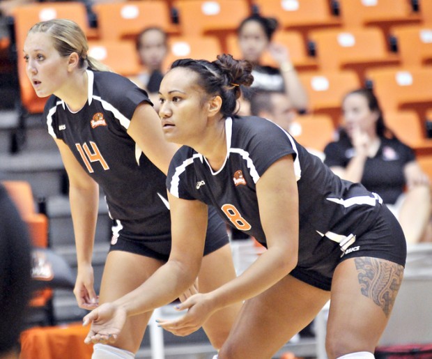 Oregon State will stay the course in building it's volleyball program