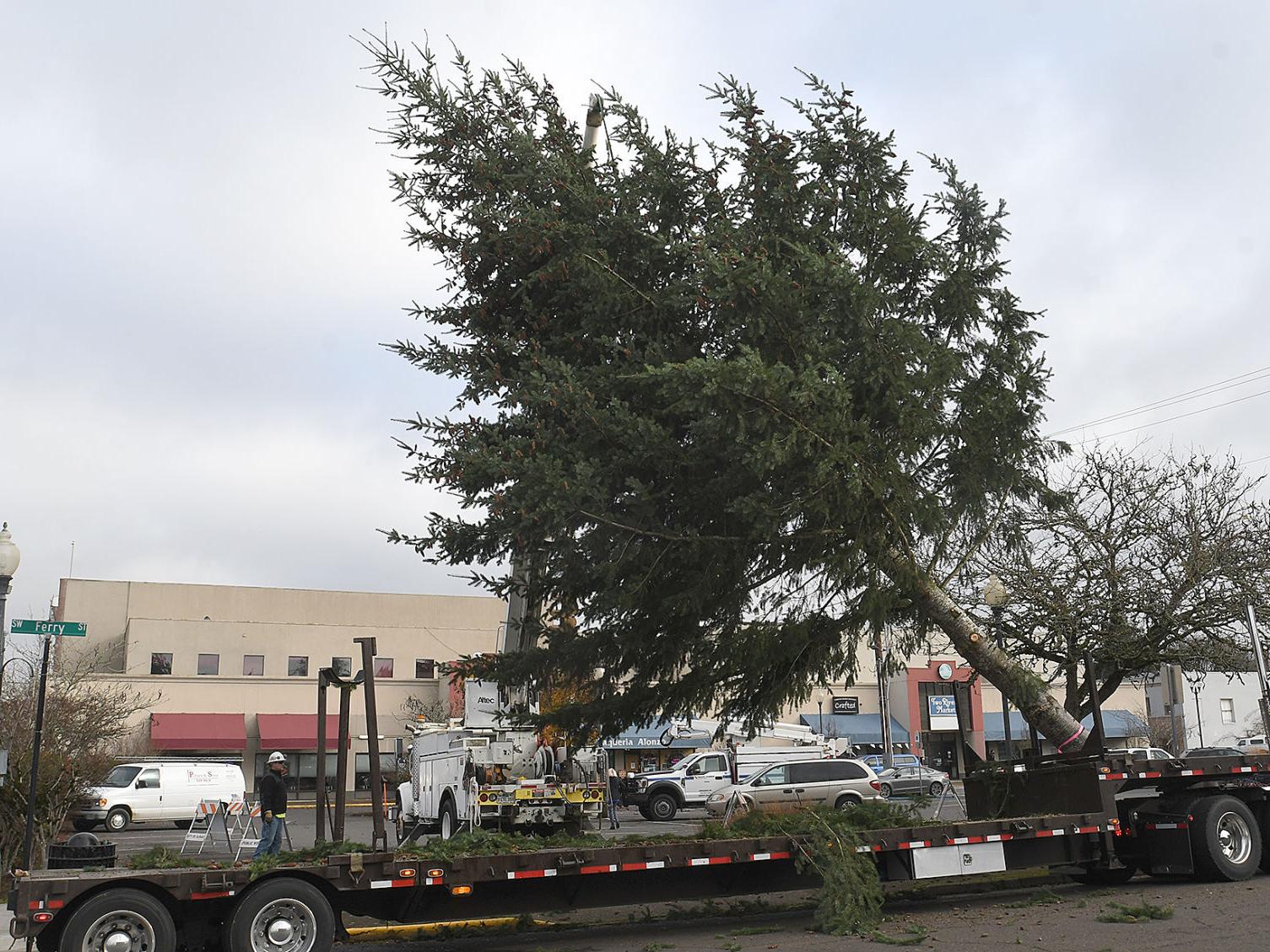 Albany Christmas Tree Comes To Town Local Gazettetimes Com Albany, La Christmas Parade 2021