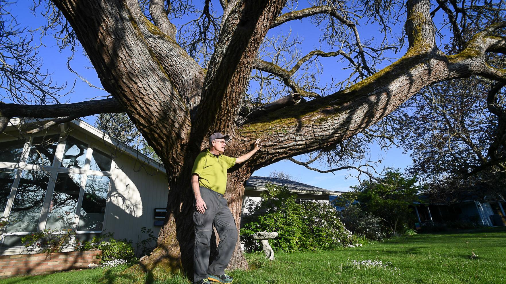 Climate crisis growing, scientists warn - Vimarsana News