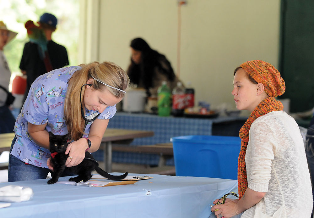 Homeless Pet Fair provides vaccinations, exams and hope Local