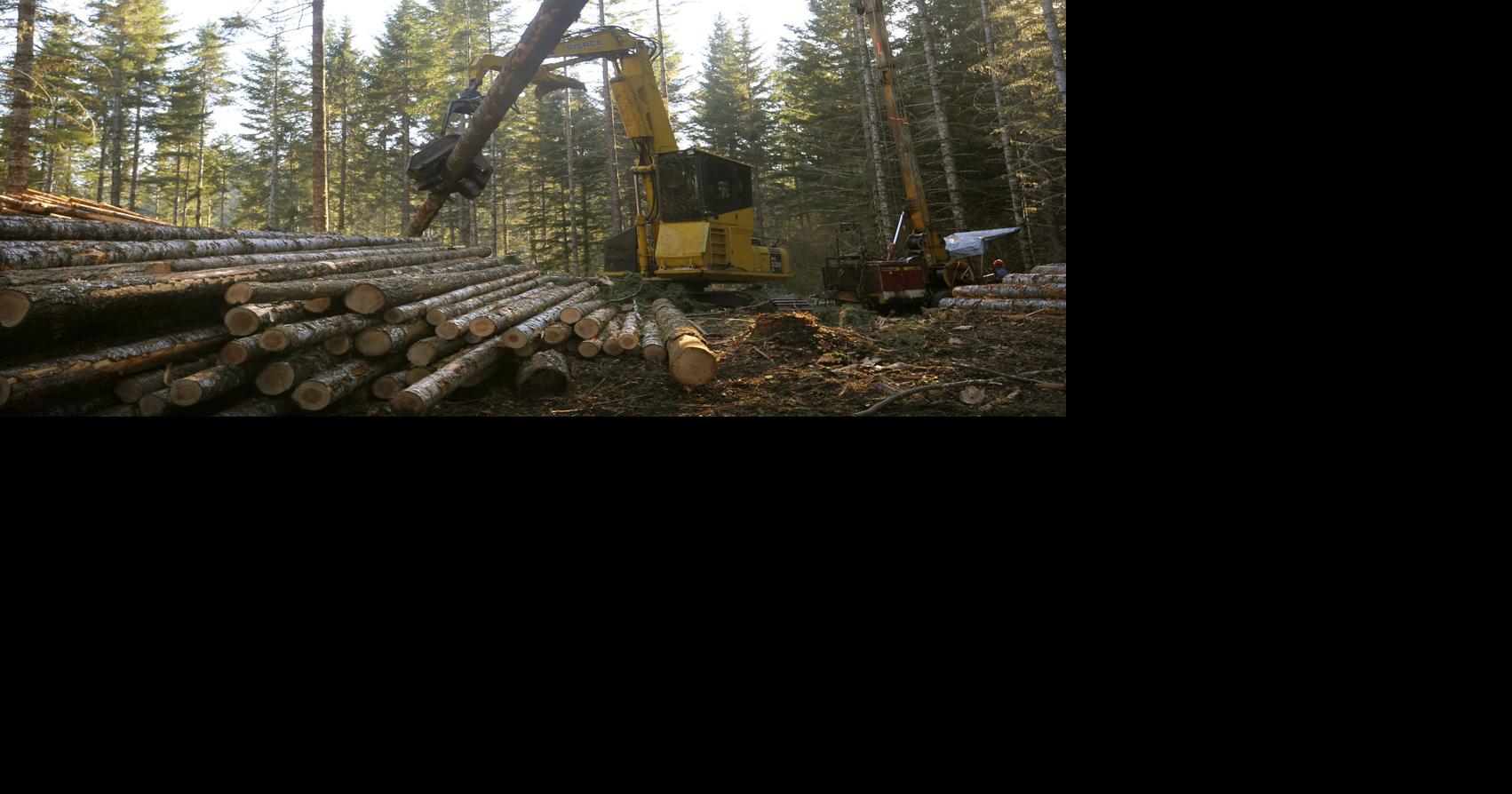 Timber work to close Conners Camp