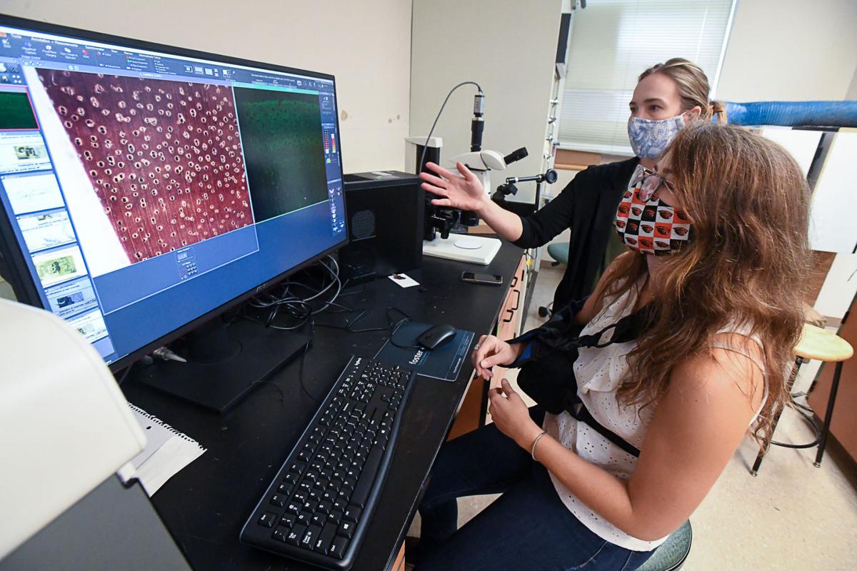 Osu Research Sets Record Again Local Gazettetimes Com