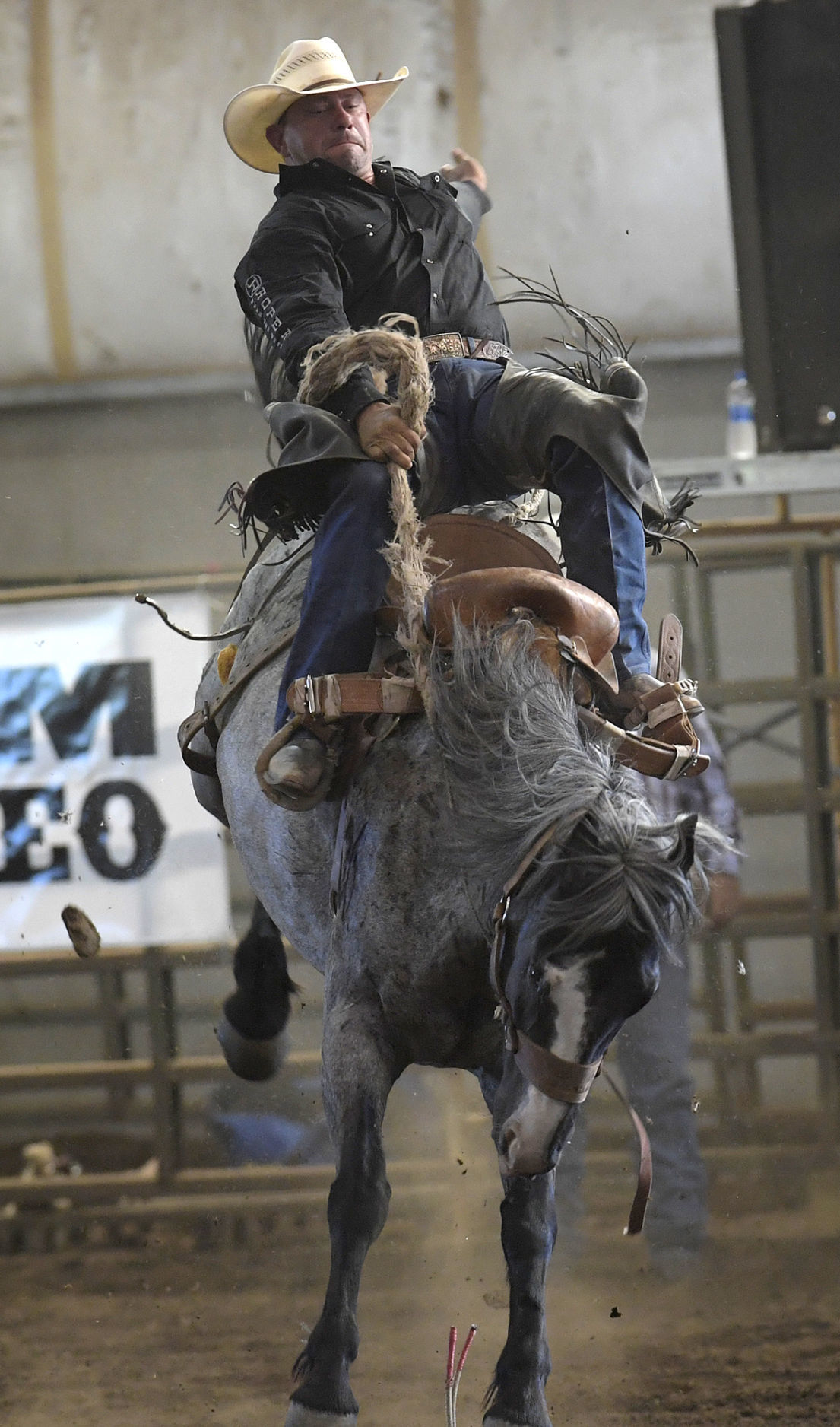 Gallery Linn County Rough Stock Rodeo Local