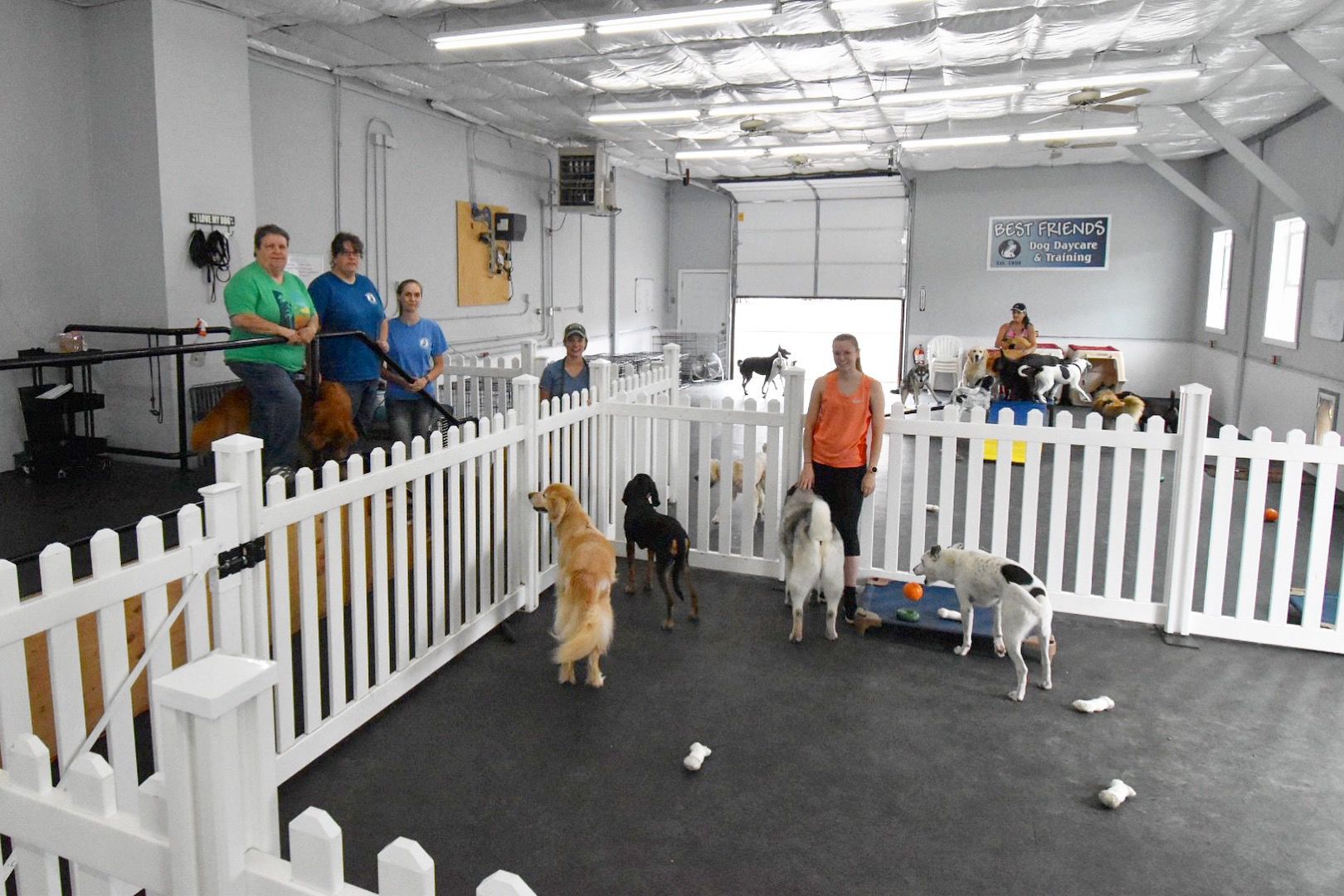 best friends doggy daycare