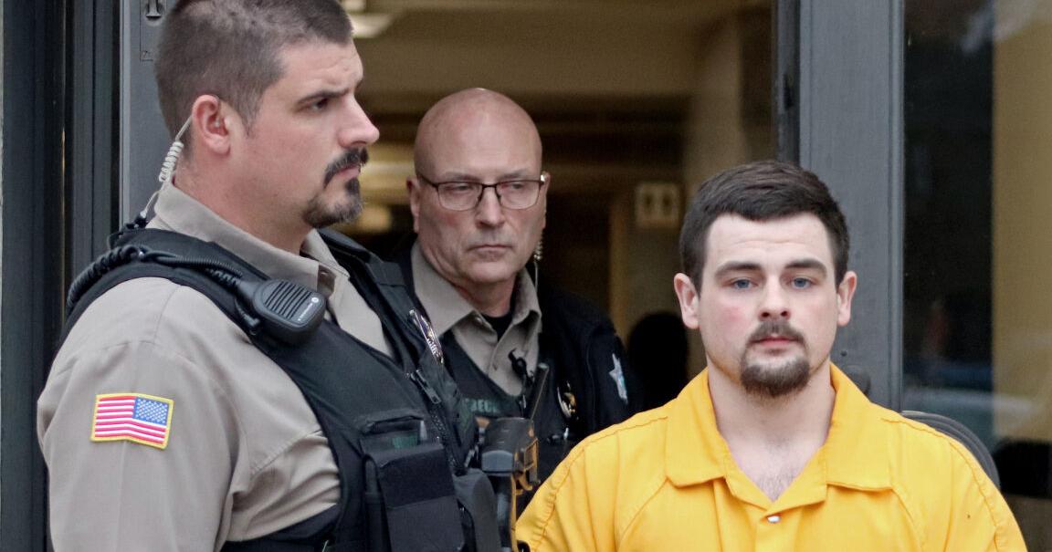 Albany man pleads to numerous sex crimes