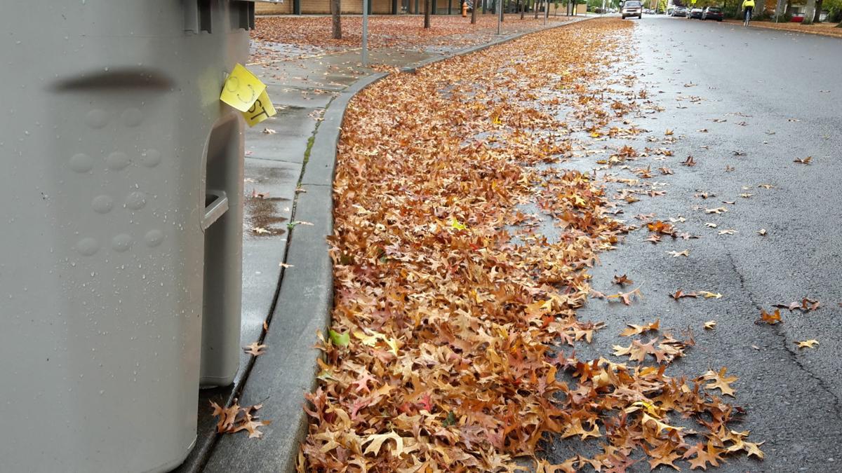 Leaf pickup program