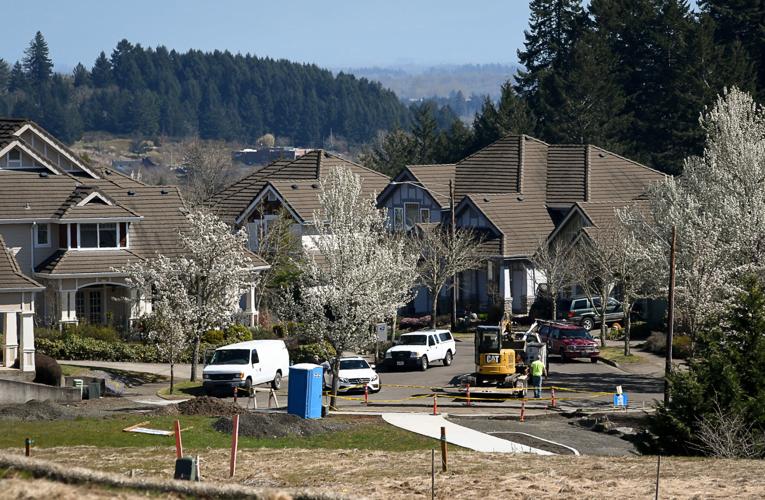 Skyline West Neighborhood