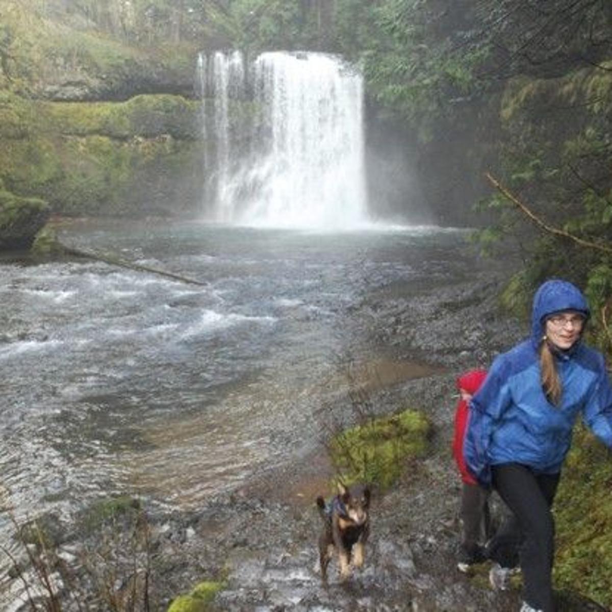 In June Drake S Footsteps At Silver Falls St Park Oregon Outdoors Gazettetimes Com In June Drake S Footsteps At Silver Falls St Park Oregon Outdoors Gazettetimes Com