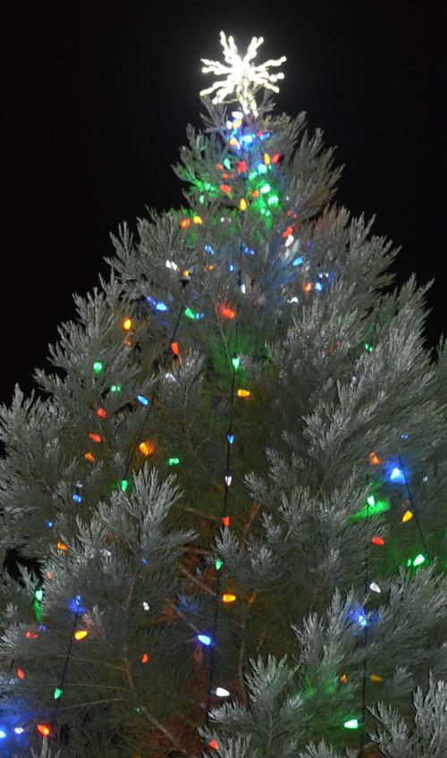 Philomath tree lighting 2018