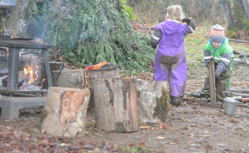 Fern & Feather Forest School