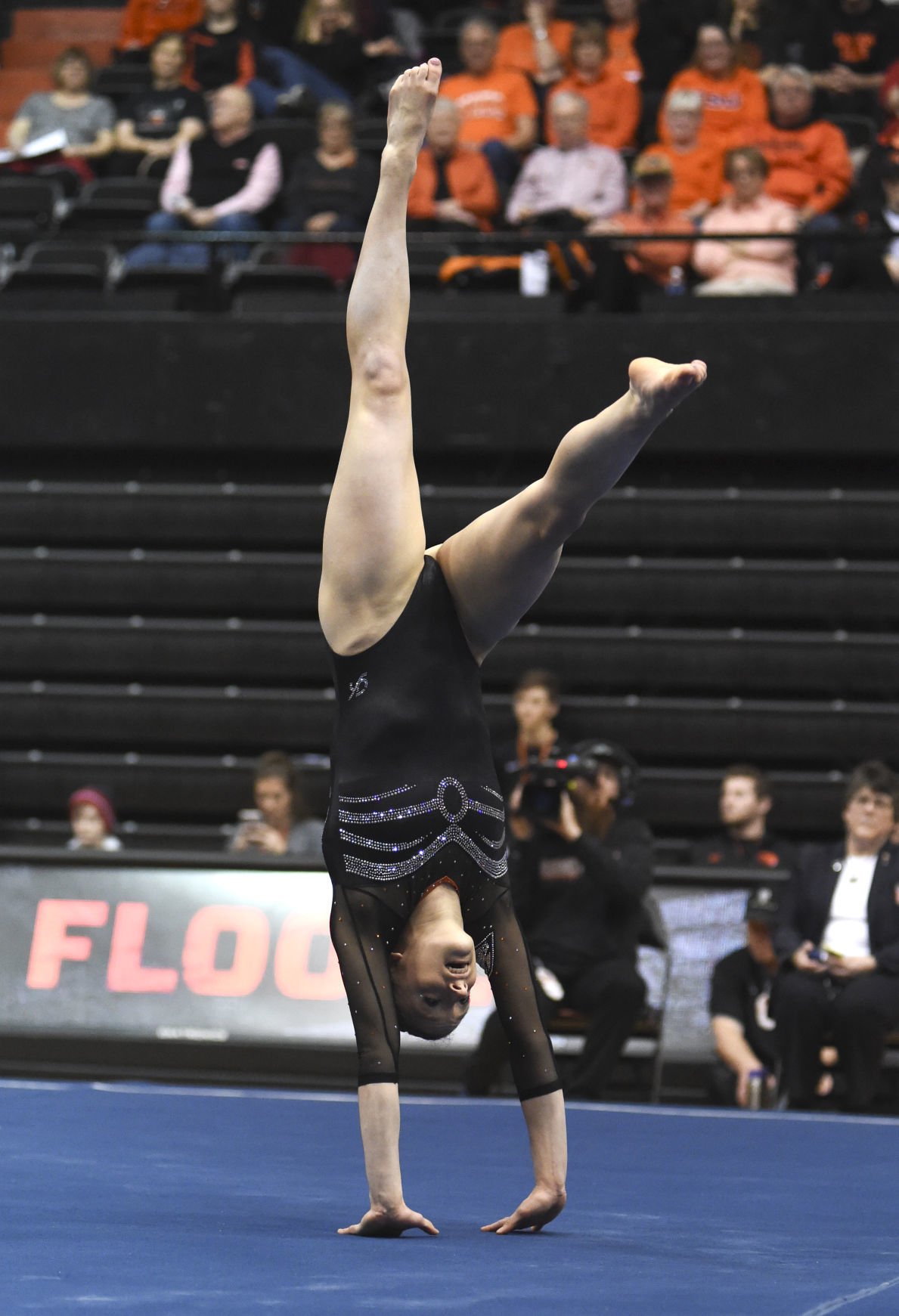 Gallery Oregon State vs. Stanford Gymnastics Photo Gallery