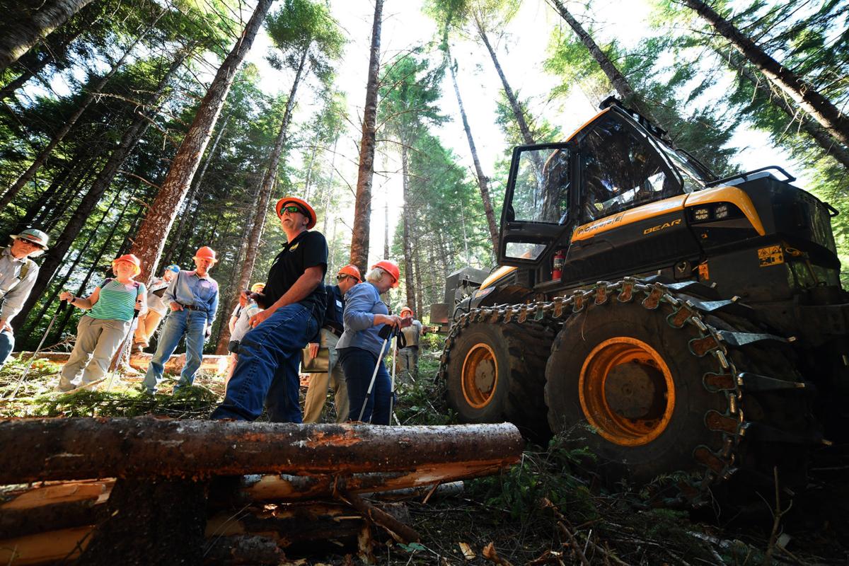 Miller Timber's Lee Miller