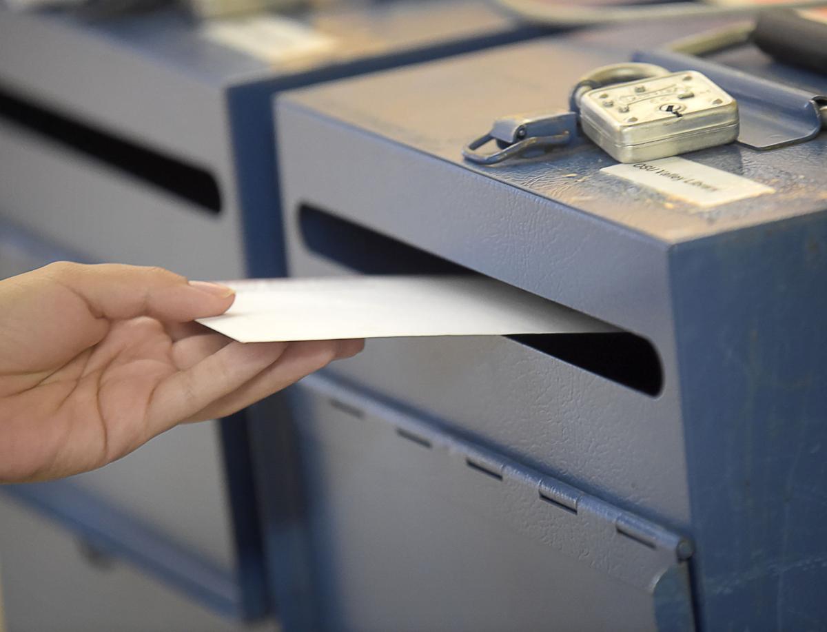Voting 01 stock