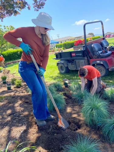 Students create ornamental grass display garden at OSU farm