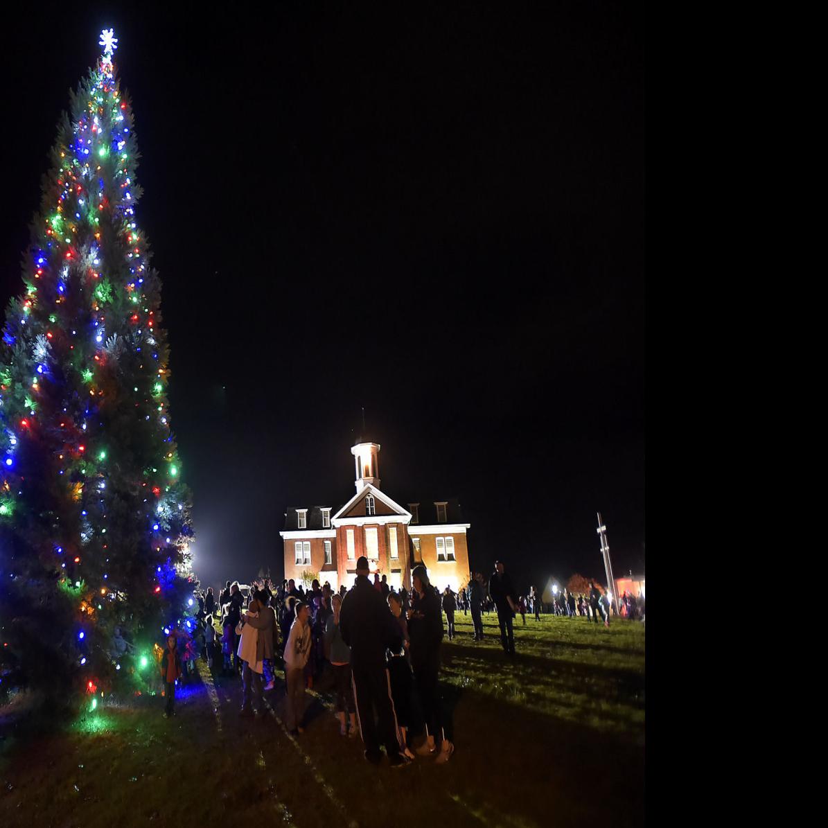2020 starker forest christmas trees Christmas Tree Lighting Ceremony Reaches 10th Year Local Gazettetimes Com 2020 starker forest christmas trees