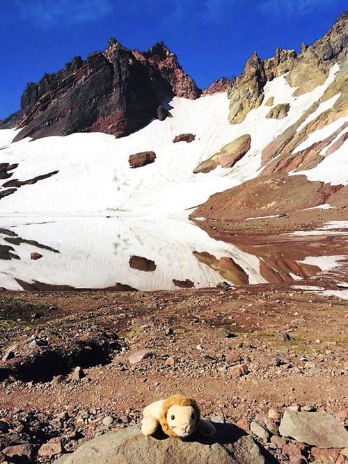 Mountain Rescue Stuffed Lion