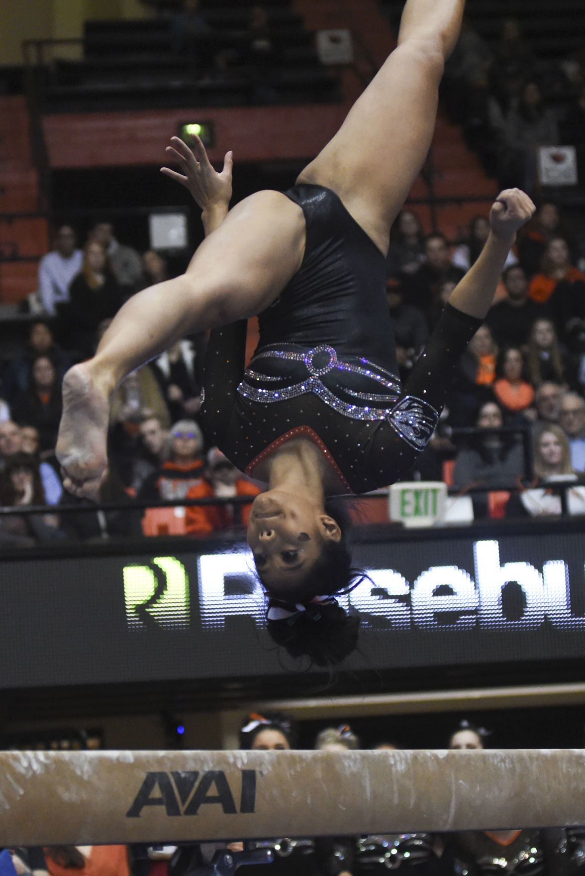 Gallery Oregon State vs. Stanford Gymnastics Photo Gallery