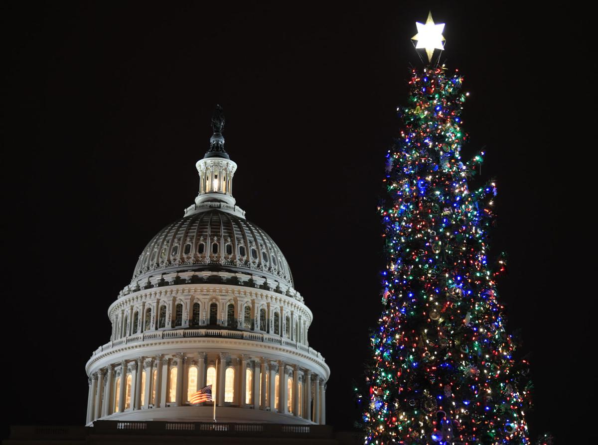 Capitol Christmas Tree18 (copy)