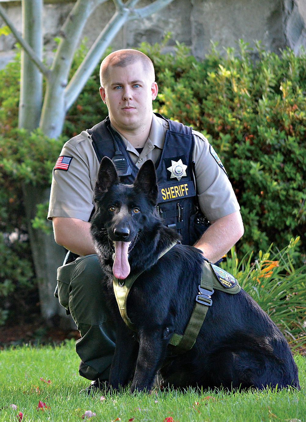 Benton County Sheriff’s Office welcomes new K-9 Xander | Local ...