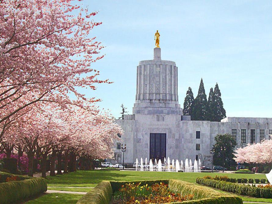 Cherry Festival July 2022 Salem Oregon